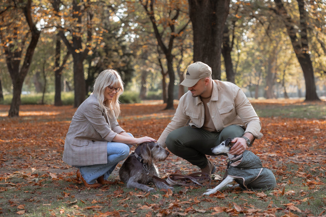 A kutyaruha-divat története – a hasznosságtól a kifinomult stílusig
