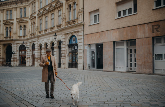 A kutyasétáltatás szabályai