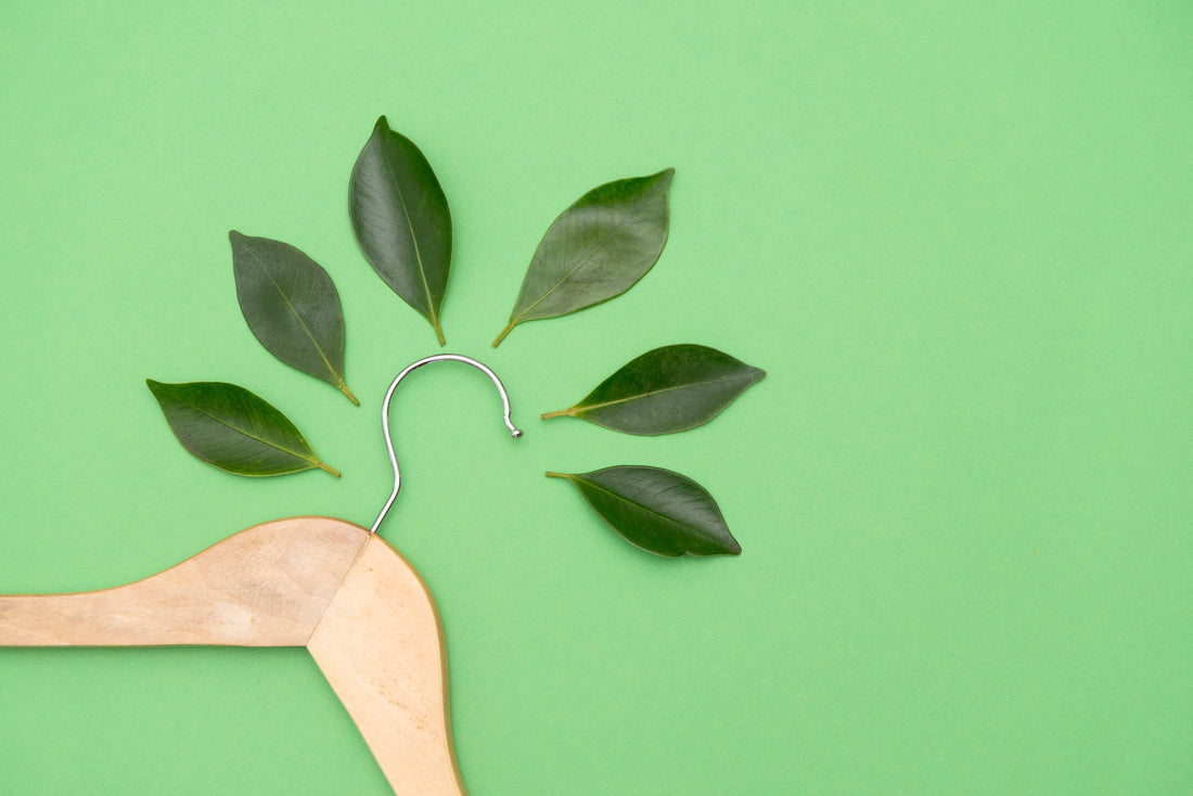 Fenntartható kutyadivat – stílus felelősséggel