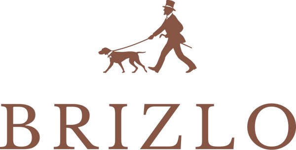Brizlo