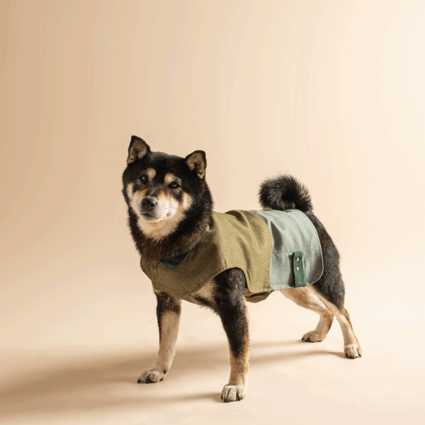 Pete