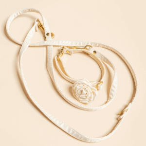 White leash