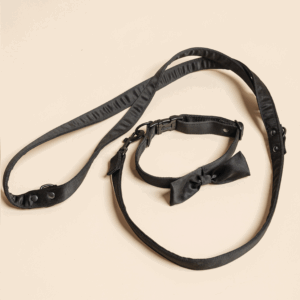 Black leash