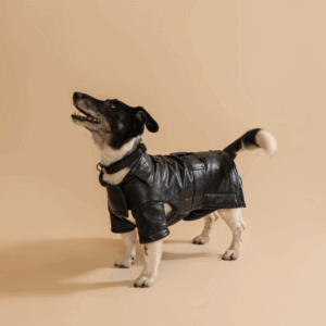 Trench